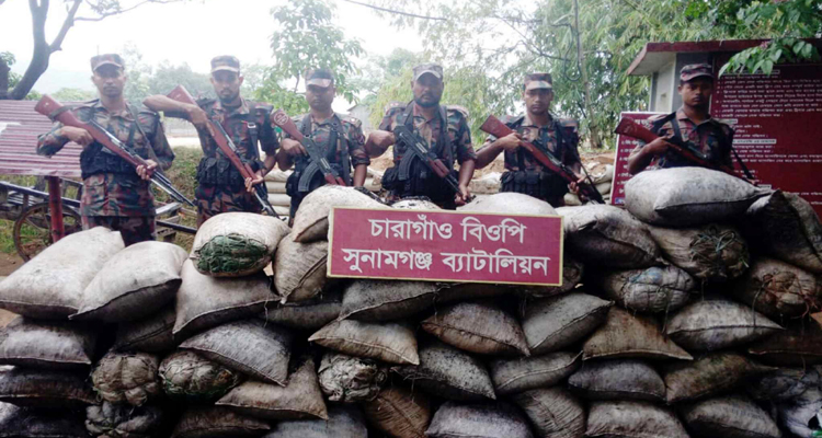 তাহিরপুর সীমান্তে বেপরোয়া চোরাচালানি চক্র