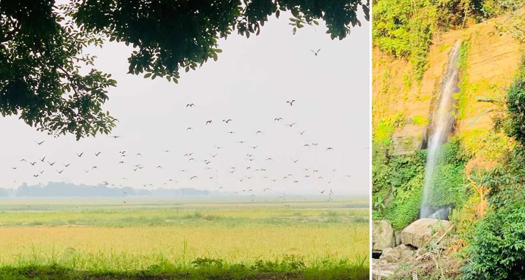 পর্যটকদের হাতছানি দিয়ে ডাকছে প্রকৃতি কণ্যা মাধবকুণ্ড জলপ্রপাত ও হাকালুকি হাওর