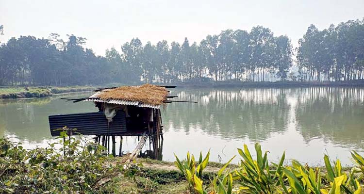 গোলাপগঞ্জে পুকুর থেকে বৃদ্ধের মরদেহ উদ্ধার