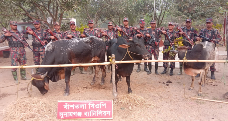 সুনামগঞ্জ সীমান্তে ১৭ লক্ষাধিক টাকার ভারতীয় পণ্য জব্দ