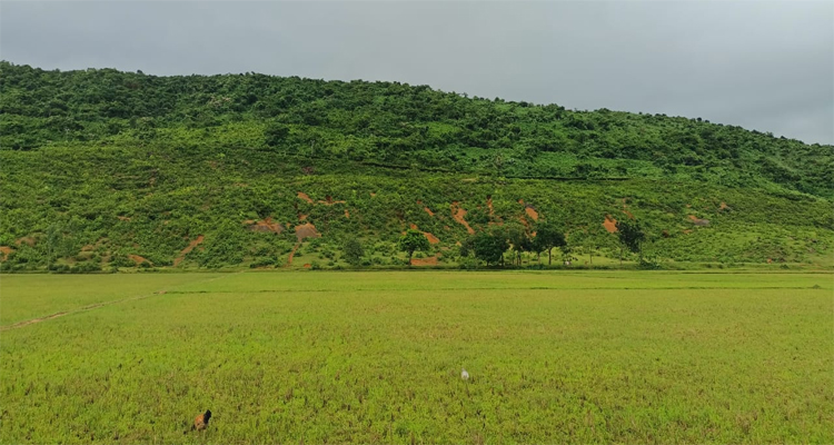 ভারতের কয়লা কোয়ারীতে মাটি চাপায় বাংলাদেশী শ্রমিক নিহত