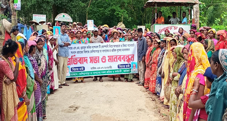 বাগান ষড়যন্ত্রকারীদের বিরুদ্ধে চা শ্রমিকদের মানববন্ধন