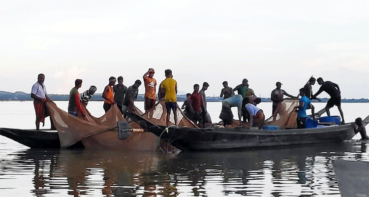 হাকালুকিতে নিষিদ্ধ বেড় জালে মাছ শিকার চলছেই