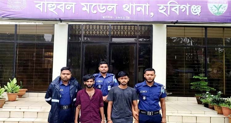 হাত-পা বেঁধে চালককে হত্যা, অটোরিকশা ছিনতাই: আটক ২