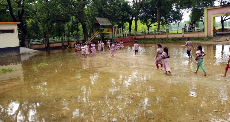 পাঁচ মাস ধরে স্কুল প্রাঙ্গণে জলাবদ্ধতা বেহাল, দুর্ভোগে শিক্ষার্থীরা