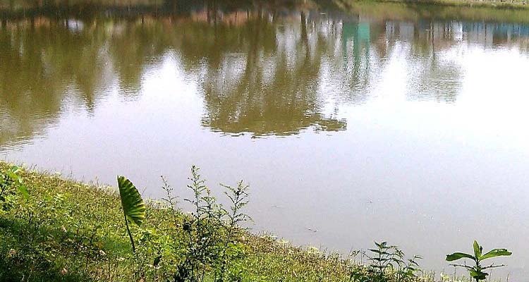 মাধবপুরে পানিতে ডুবে শিশুর মর্মান্তিক মৃ/ত্যু