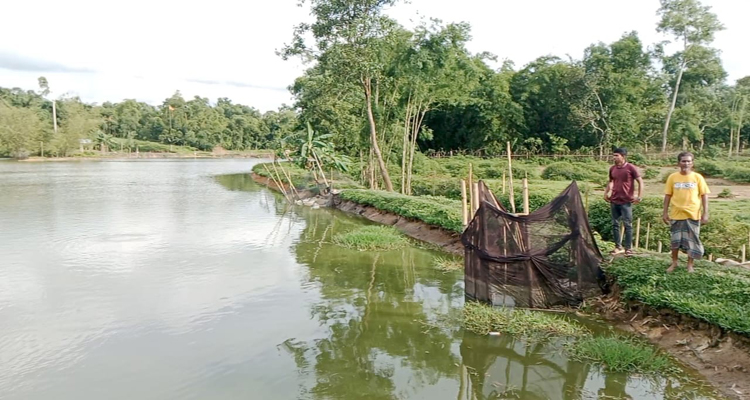মাধবপুরে মাছের খামারে সন্ত্রাসী হামলা, লুটপাটের অভিযোগ