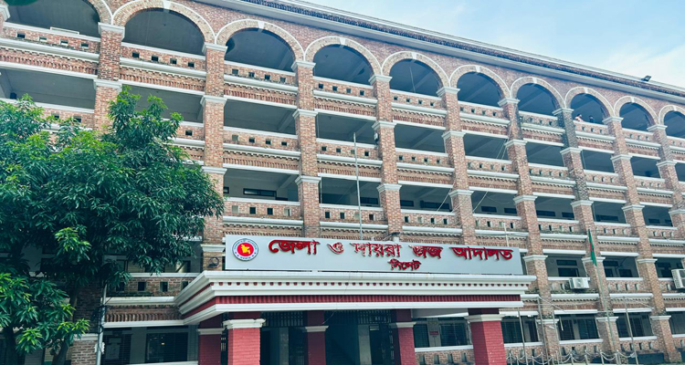 ককটেল বিস্ফোরণ মামলায় বিএনপি, ছাত্রদলের ৮ নেতাকর্মী আট বছরের কারাদণ্ড