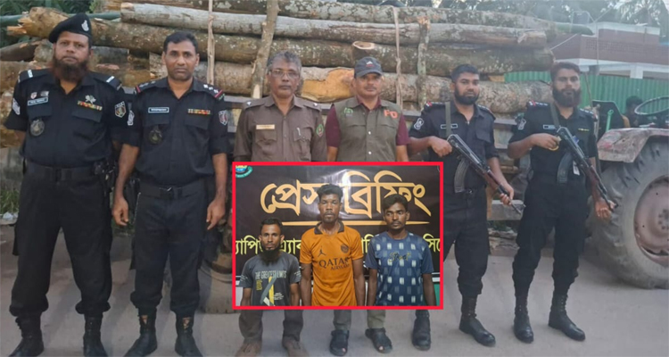 মাধবপুরে অবৈধ গাছ পাচারকারী র‍্যাব-বন বিভাগের হাতে তিনজন আটক