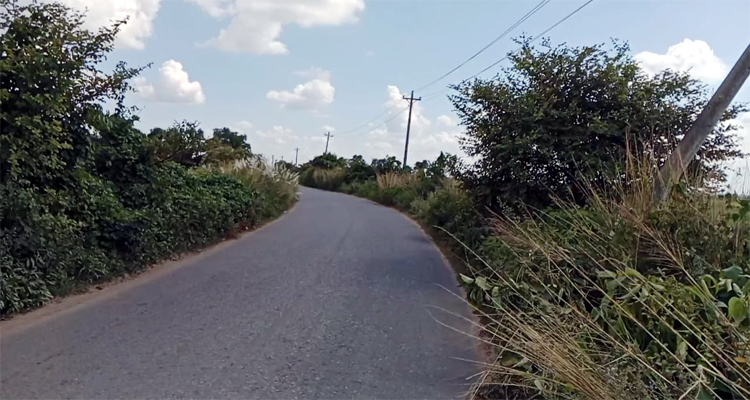 মাধবপুরে সড়কের পাশে ঝোপঝাড়ে ডাকাতে আতঙ্কে যাত্রীরা