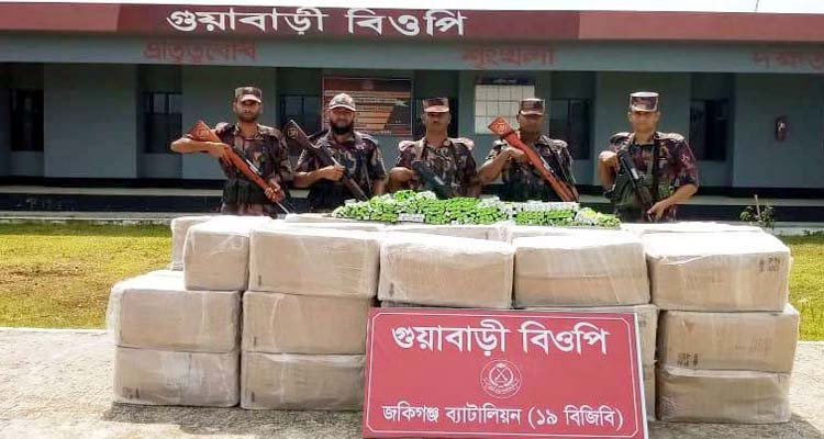 সিলেটে ২৮ লাখ টাকার ভারতীয় ঔষধ জব্দ করল বিজিবি