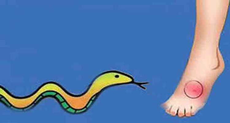 মাধবপুরে সাপের কামড়ে চতুর্থ শ্রেণির ছাত্রের মৃত্যু