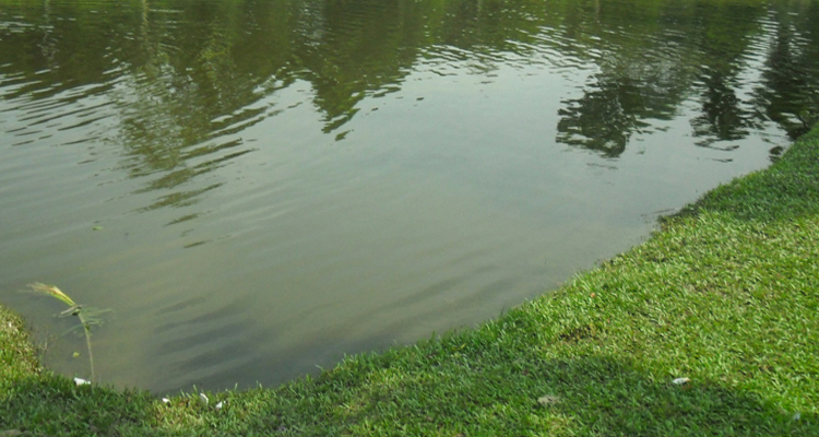 মাধবপুরে পানিতে ডুবে শিশুর মৃত্যু