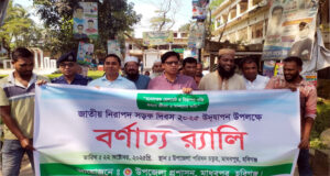 মাধবপুরে জাতীয় নিরাপদ সড়ক দিবস পালিত