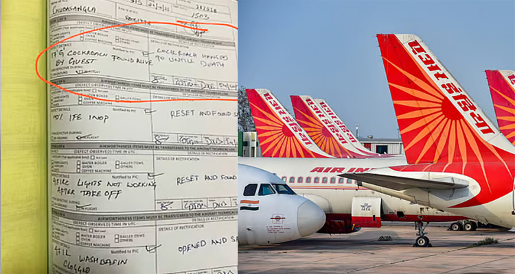 উড়োজাহাজে মাঝ আকাশে তেলাপোকাকে ফাঁসিতে ঝুলিয়ে মৃত্যুদণ্ড!
