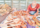 ৫২ বছর বয়সে এসে পেশা বদল করলেন একরামুল হোসেন
