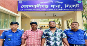 শাহ আরেফিন (র.) মাজারের পাথর লুটপাটকারী বশর গ্রেপ্তার