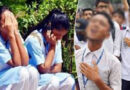 এইচএসসি পরীক্ষায় ২০২ শিক্ষাপ্রতিষ্ঠানে সবাই ফেল