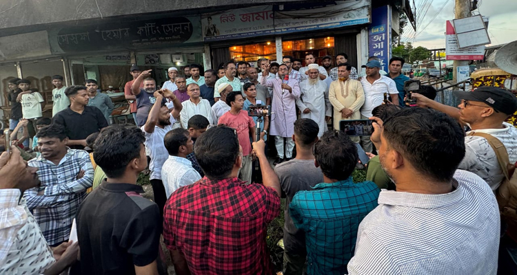 ৩১ দফার লিফলেট বিতরণ ও ধানের শীষের পক্ষে খান জামালের প্রচারণা