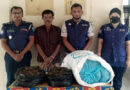 বাহুবলে ১২ কেজি গাঁজাসহ কারবারী গ্রেফতার