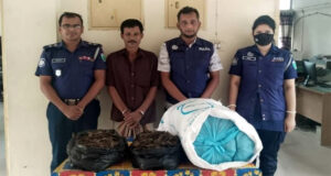 বাহুবলে ১২ কেজি গাঁজাসহ কারবারী গ্রেফতার