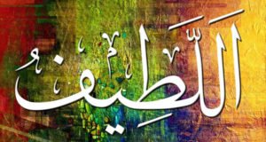 বান্দাদের প্রতি আল্লাহ তায়ালার অপার দয়া