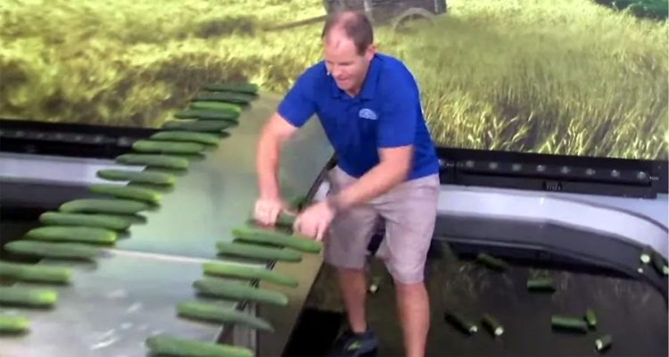 ৩০ সেকেন্ডে ৬৫টি শসা ভেঙে বিশ্ব রেকর্ড গড়লেন রাশ