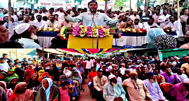 ধানের শীষে ভোট দিলে সকলের স্বপ্ন পুরন করবেন তারেক রহমান: আনিসুল হক