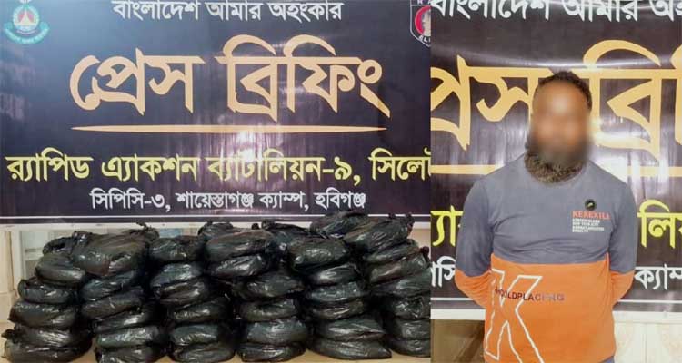 মাধবপুরে গাঁজাসহ মাদক ব্যবসায়ী গ্রেফতার