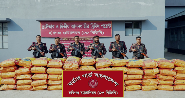 বিজিবি’র অভিযানে ভারতীয় জিরা, ঔষধ ও কসমেটিকস জব্দ