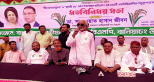 তৃণমূলের ঐক্য জোরদার করতে হবে: ডা. জীবন