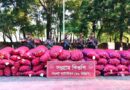 সিলেট বিপুল পরিমাণ ভারতীয় পেঁয়াজ-টমেটো আটক