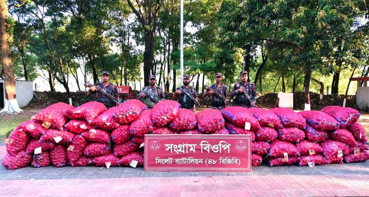 সিলেট বিপুল পরিমাণ ভারতীয় পেঁয়াজ-টমেটো আটক