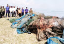টাংগুয়ার হাওর থেকে ৫ লাখ টাকার জাল জব্দ