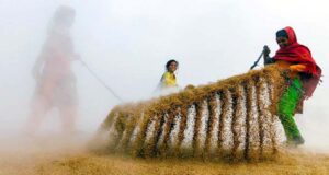 দোহা ফটোগ্রাফি পুরস্কার জিতলেন বাংলাদেশি রোহান