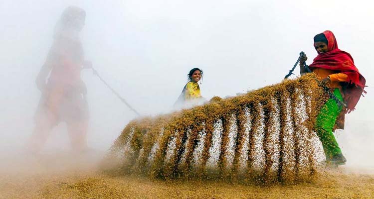 দোহা ফটোগ্রাফি পুরস্কার জিতলেন বাংলাদেশি রোহান