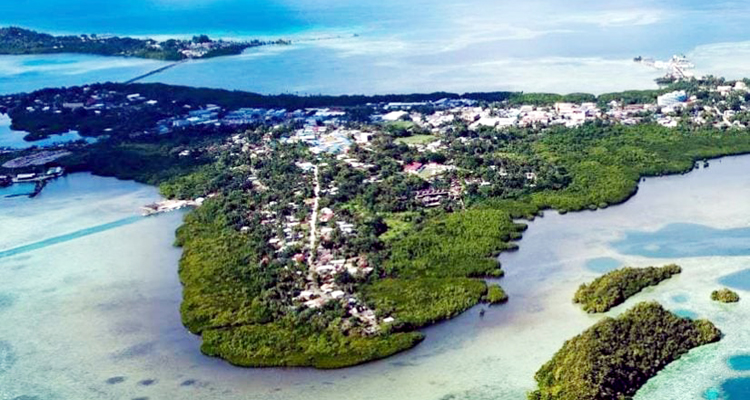 ২০ বছরেই সর্বনাশ!