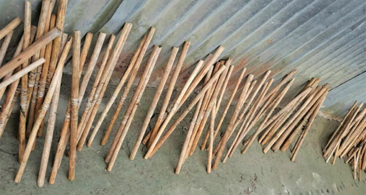 বিলুপ্তির পথে গ্রামবাংলার ঐতিহ্য ‘নল বড়শি’