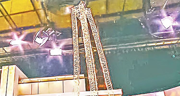 টুথপিকে ১৭ ফুট উঁচু ‘আইফেল টাওয়ার’ তৈরি