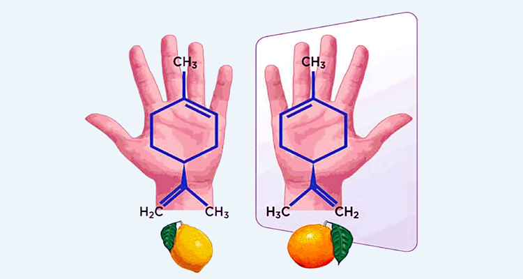 মিরর ব্যাকটেরিয়া কি আধুনিক পৃথিবীর নতুন মারণাস্ত্র