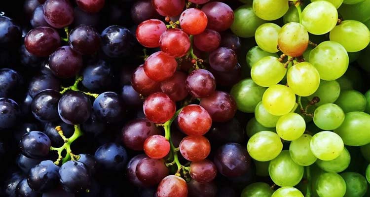 কোন রঙের আঙুর সবচেয়ে বেশি পুষ্টিকর?