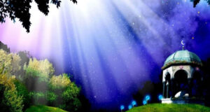 উভয় জগতের সফলতা ধৈর্যের ওপর নির্ভরশীল