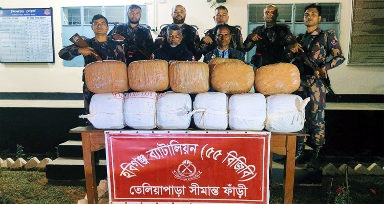 মাধবপুরে ১০০ কেজি ভারতীয় গাঁজা উদ্ধার, আটক ২