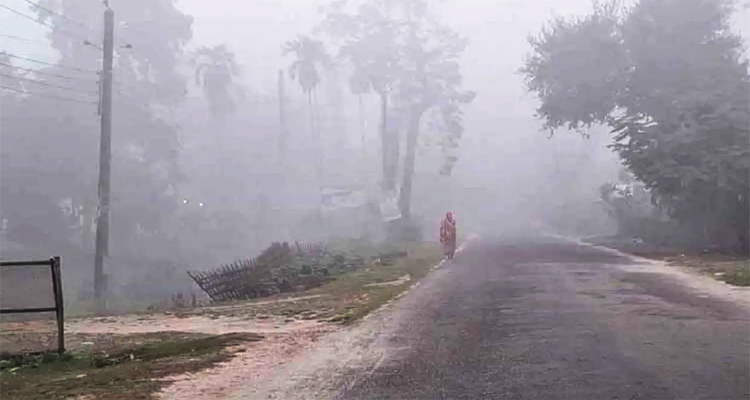 ১৯ জেলায় বইছে মৃদু শৈত্যপ্রবাহ