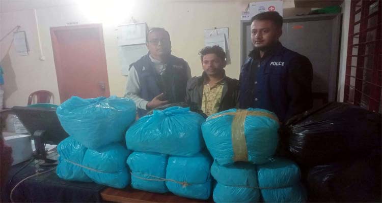 মাধবপুরে ৩২ কেজি গাঁজাসহ মাদক কারবারি গ্রেফতার