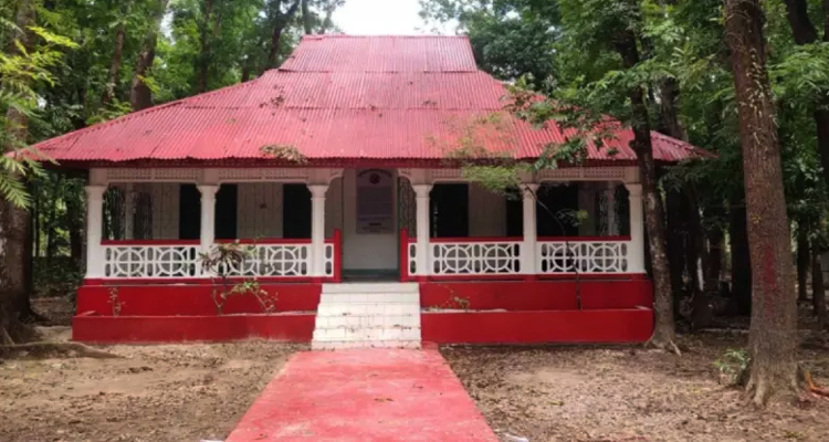 জন্মের সাক্ষী যেই বাড়ি