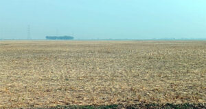 <span style='color:#ff0000;font-size:18px;'>কোটি টাকার ফসল থেকে বঞ্চিত হবে কৃষকরা</span> <br/> বিএনপি-আওয়ামীলীগ নেতার হাত বদলে আটক সেচ প্রকল্পের কাজ