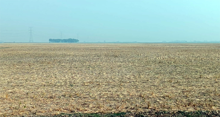 <span style='color:#ff0000;font-size:18px;'>কোটি টাকার ফসল থেকে বঞ্চিত হবে কৃষকরা</span> <br/> বিএনপি-আওয়ামীলীগ নেতার হাত বদলে আটক সেচ প্রকল্পের কাজ