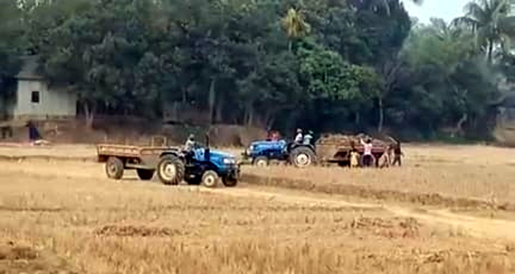 মাধবপুরে ফসলি জমি থেকে অবৈধ মাটি কর্তনের অভিযোগ