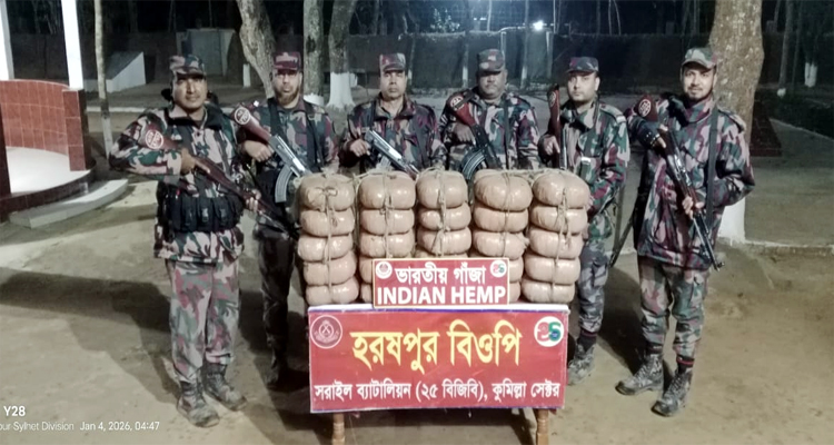 মাধবপুরে ৫০ কেজি ভারতীয় গাঁজা উদ্ধার